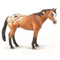 Breyer CollectA Appaloosa Stallion